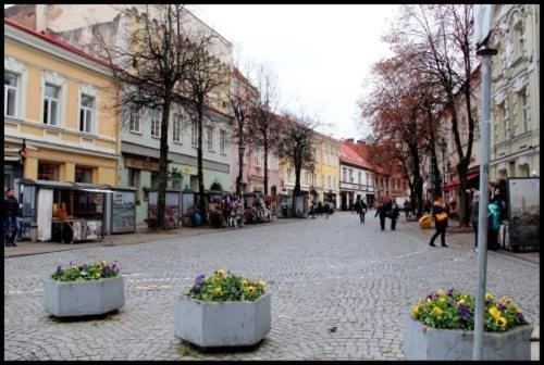 Pogo Hostel Vilnius Luaran gambar